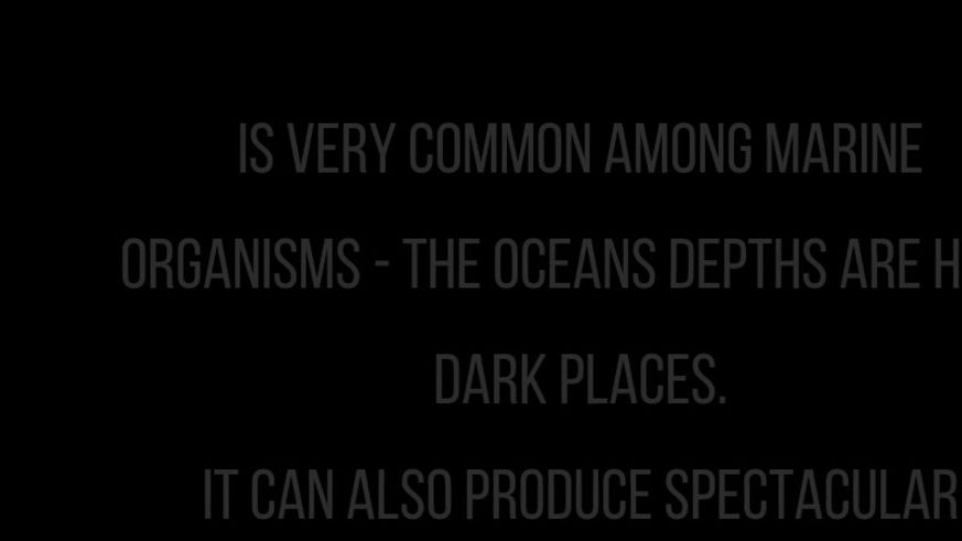 L-Luminescence